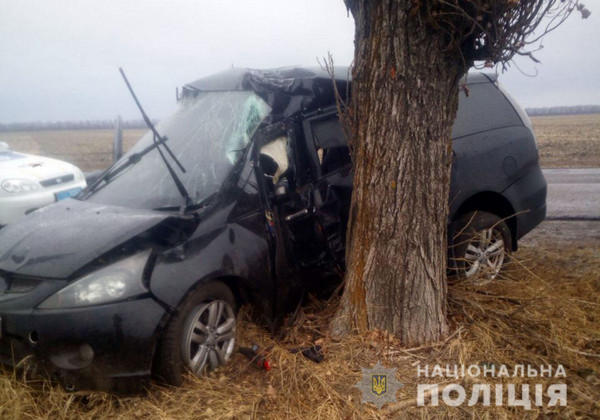 Смертельное ДТП на дороге Угледар - Павловка: автомобиль врезался в дерево