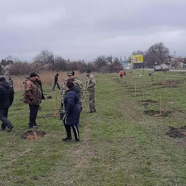 В Великой Новоселке активисты высадили 300 деревьев