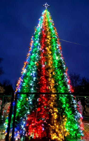 Как выглядит главная новогодняя елка в Угледаре