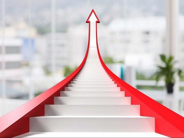 Как двигаться по карьерной лестнице в IT: два пути