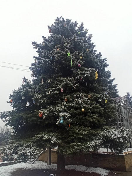 В Марьинке торжественно открыли главную новогоднюю елку
