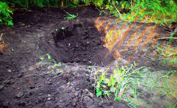 Военнослужащий из Николаева в Донецкой области убил парня-инвалида и закопал его тело