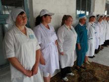 В Марьинском районе прошел конкурс операторов по воспроизводству сельскохозяйственных животных