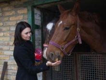 Коня из Красногоровки увековечили в новогоднем календаре (фото)