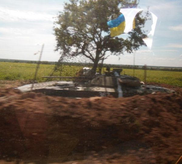 Безымянная дворняжка дегустирует еду, которую кураховцы приносят украинским солдатам (фото)