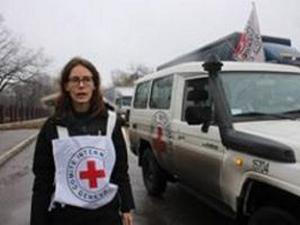 Красный Крест доставил строительные материалы в разрушенные войной Красногоровку и Марьинку