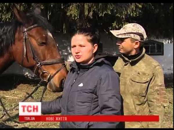 Под обстрелами из Красногоровки удалось вывезти породистых лошадей