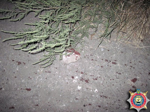 В Марьинском районе парень жестоко убил мужчину, разбив ему голову шлакоблоком