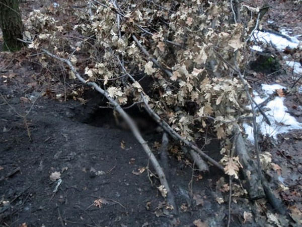 Жителя Красногоровки закопали в лесопосадке собутыльники