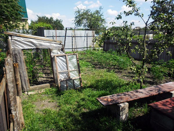 Житель Угледара превратил бабушкин огород в наркоплантацию