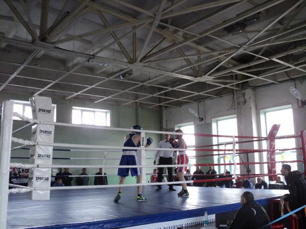 В прифронтовой Марьинке прошел Открытый областной турнир по боксу