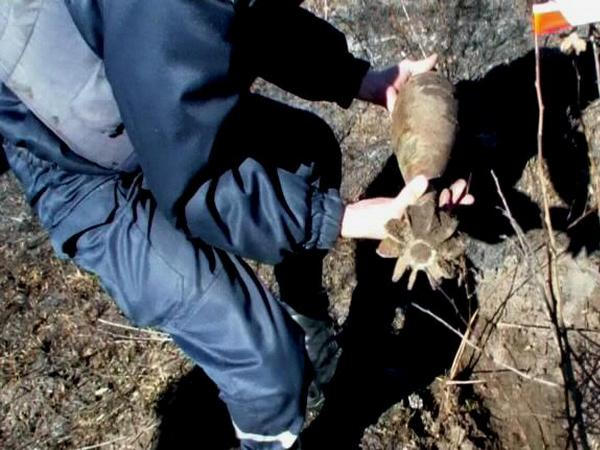 Эхо войны: в Марьинском районе обнаружены мины и другие боеприпасы