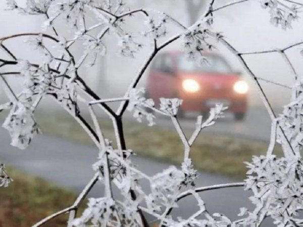 На Донецкую область надвигаются заморозки