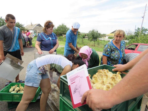 Жителям прифронтовых сел Марьинского района бесплатно раздали цыплят, утят и индюшат