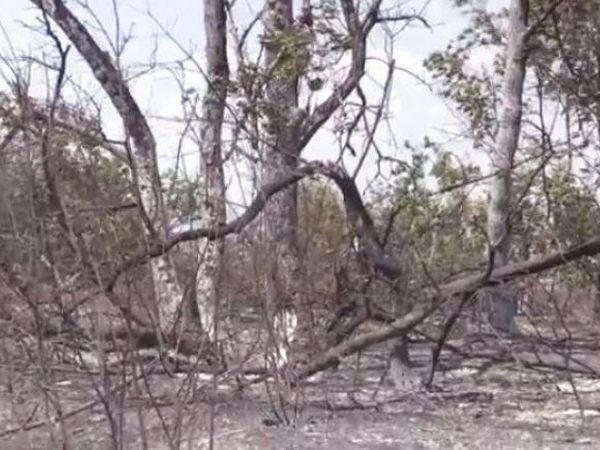 Боевики используют тактику «выжженой земли» в Марьинке