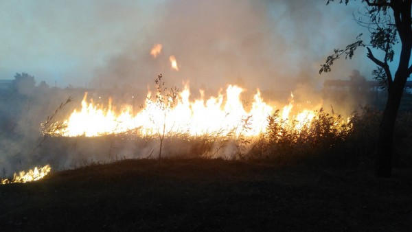 В Марьинском районе бушевал лесной пожар на площади 4 гектара