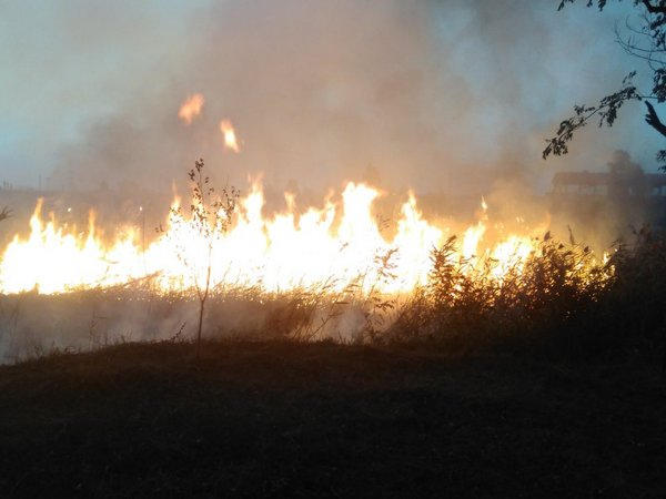 В Марьинском районе бушевал лесной пожар на площади 4 гектара