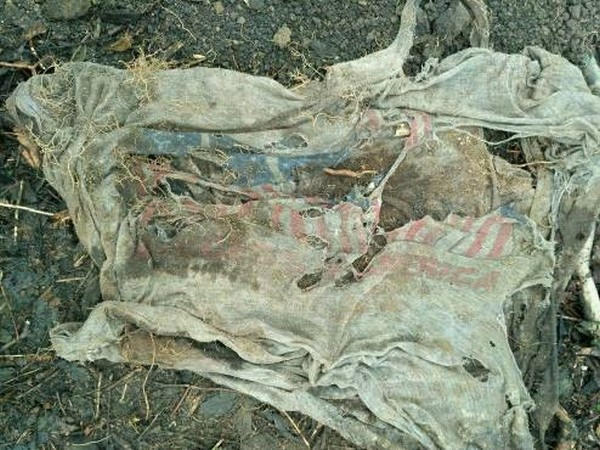 В Марьинском районе обнаружены человеческие останки