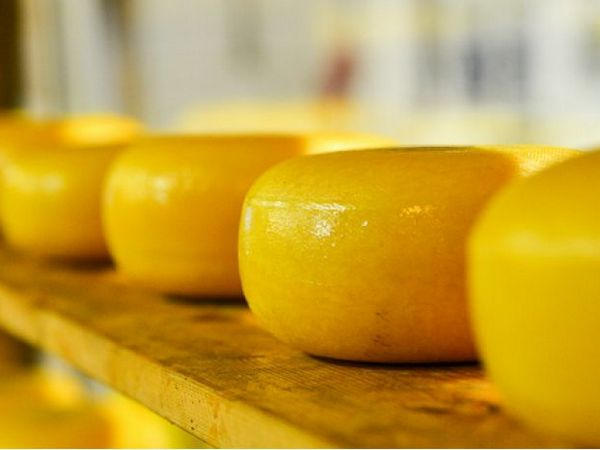 Через КПВВ «Марьинка» пытались провезти в «ДНР» четверть тонны сыра