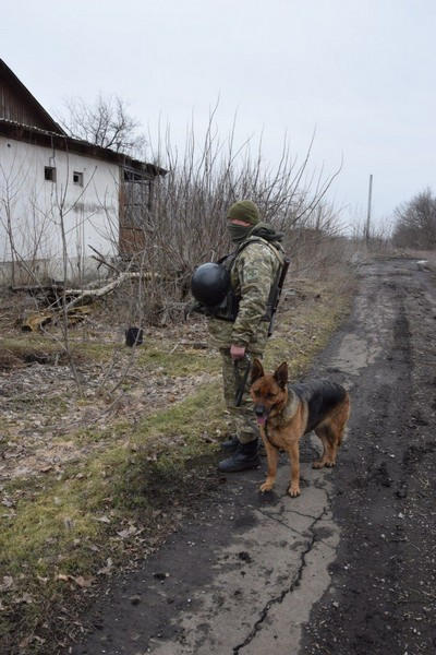 В Марьинском районе обнаружен тайник с российскими боеприпасами