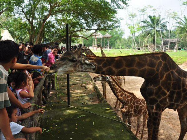 зоопарк в Паттайе