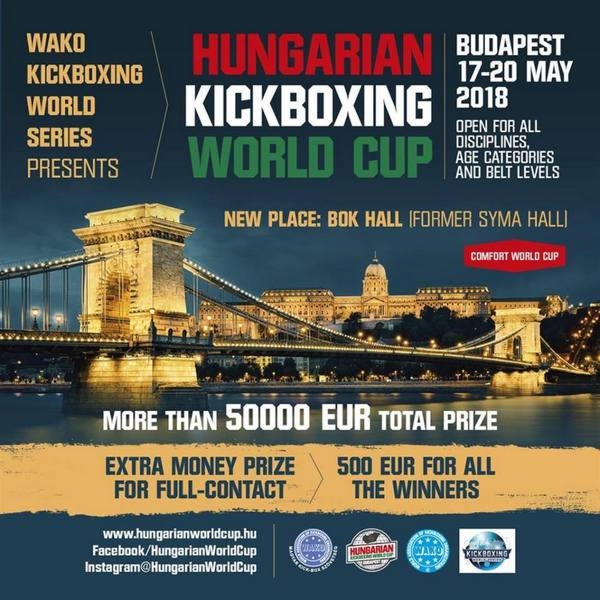 Бойцы из Курахово завоевали два «золота» на Кубке мира по кикбоксингу в Будапеште