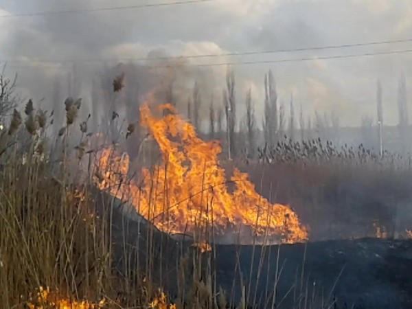 Пожарным пришлось тушить природные пожары в Марьинском районе