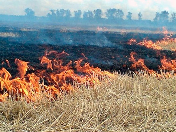 В Марьинском районе пришлось тушить природный пожар