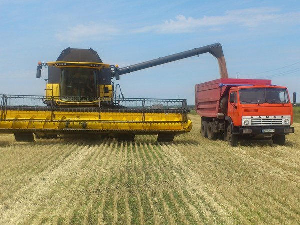 В Марьинском районе продолжается уборка ранних зерновых и зернобобовых культур
