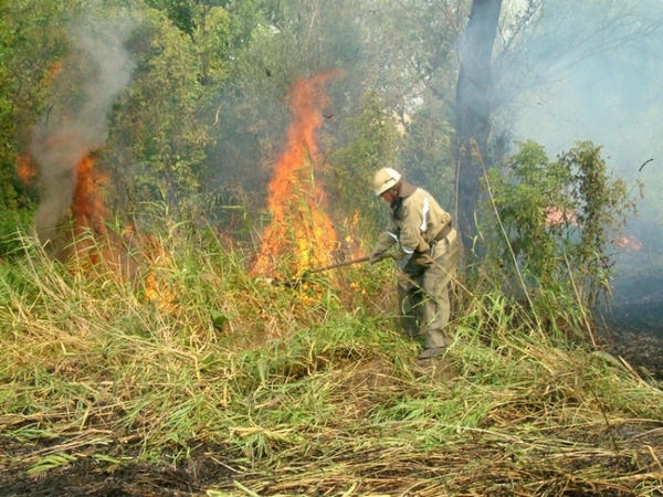 В Марьинском районе продолжают бороться с пожарами на открытых территориях