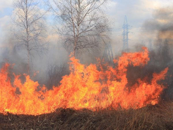 В Марьинке и Марьинском районе продолжают возникать природные пожары
