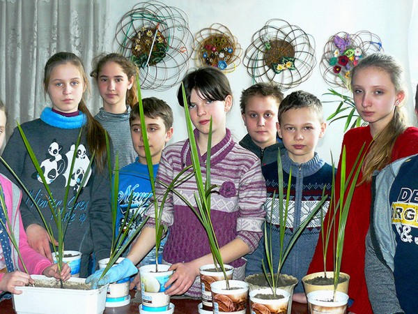 Школа из Марьинского района деньги на реализацию своего проекта собирает с помощью краудфандинга