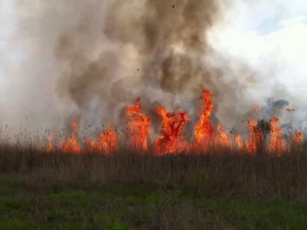 Спасатели продолжают бороться с природными пожарами в Марьинском районе