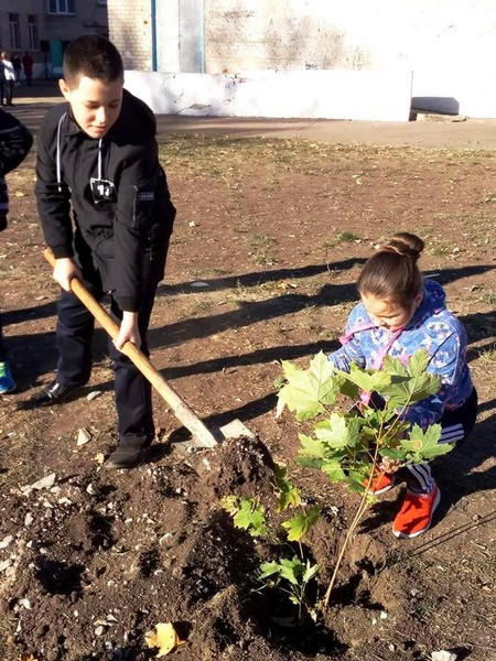 В Угледаре школьники посадили новые деревья