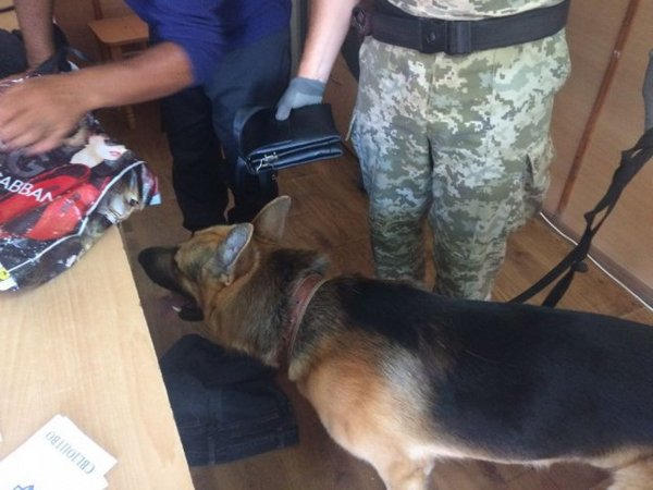 Служебная собака не пропустила через КПВВ «Марьинка» мужчину с наркотиками