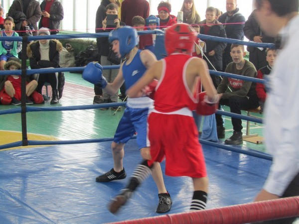 В Угледаре состоялся масштабный боксерский турнир