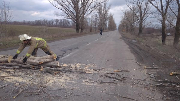 В Марьинском районе упавшее дерево перекрыло дорогу