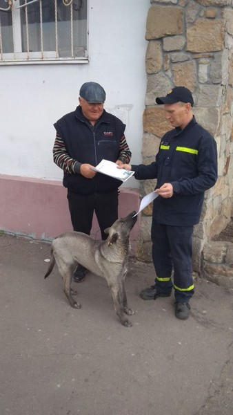 Спасатели призывают жителей прифронтовой Марьинки соблюдать правила пожарной безопасности