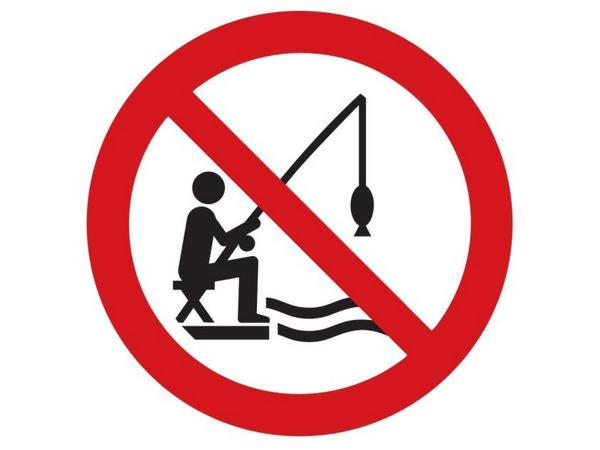 С сегодняшнего дня запрещено ловить рыбу на Кураховском водохранилище