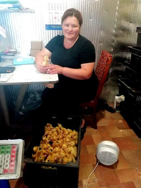 Жительница Марьинского района организовала собственный бизнес по разведению цыплят