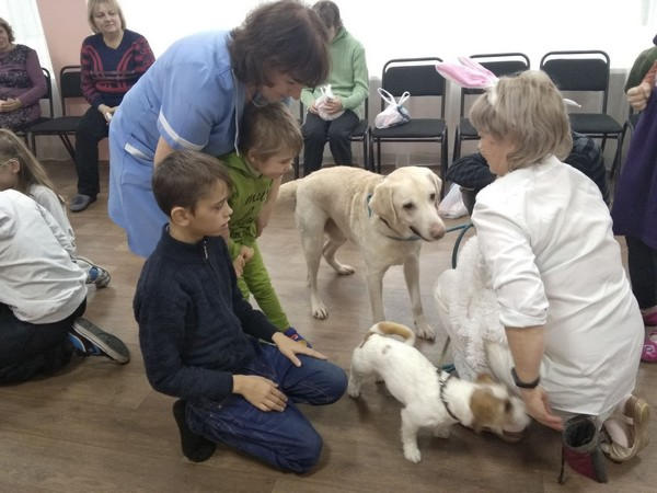 В Курахово и Марьинке для детей с инвалидностью проводят сеансы канистерапии
