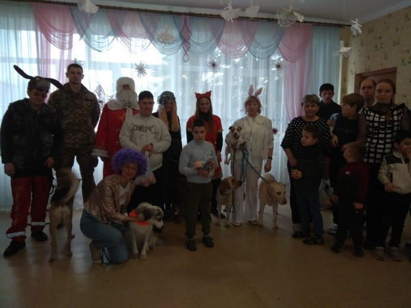 В Курахово и Марьинке для детей с инвалидностью проводят сеансы канистерапии