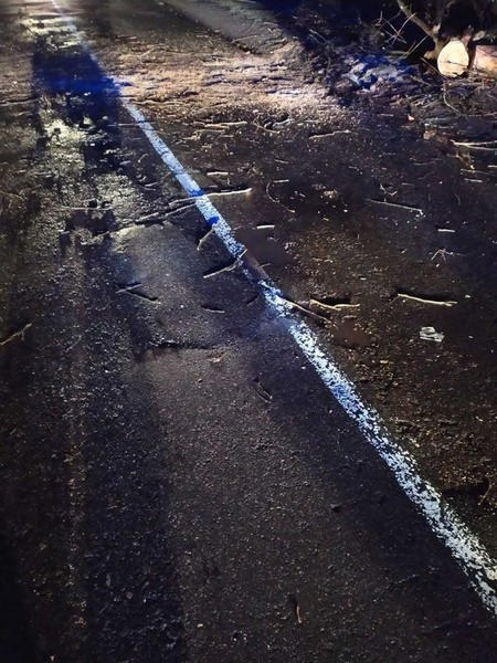 В Марьинском районе 10-метровый тополь упал на дорогу и перегородил проезд