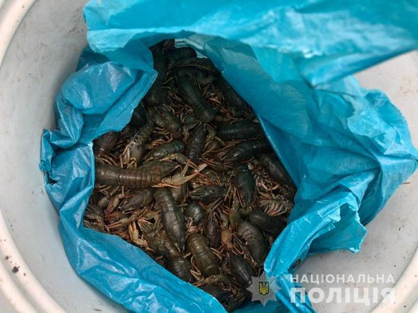 Жителю Марьинского района за ловлю раков грозит уголовная ответственность