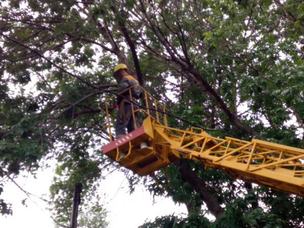 В Великоновоселковском районе расчистили от деревьев 42 километра трасс линий электропередач