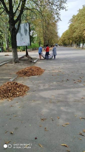 Жители прифронтовой Красногоровки присоединились к Всемирному дню уборки