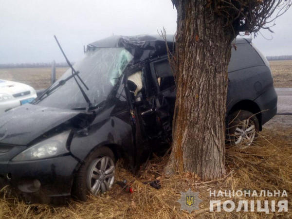 Смертельное ДТП на дороге Угледар — Павловка: автомобиль врезался в дерево