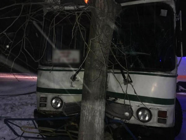 В Угледаре автобус с пассажирами врезался в дерево: есть пострадавшие