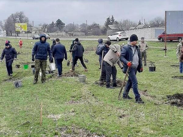 В Великой Новоселке активисты высадили 300 деревьев