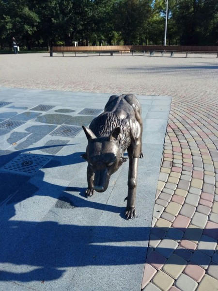 В городском парке Курахово поселился «волк»